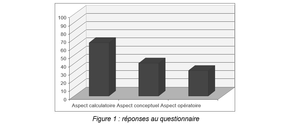 Figure 1 réponses au questionnaire