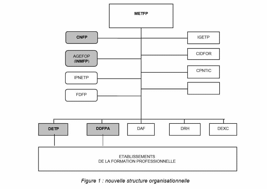 Figure 1 nouvelle structure organisationnelle