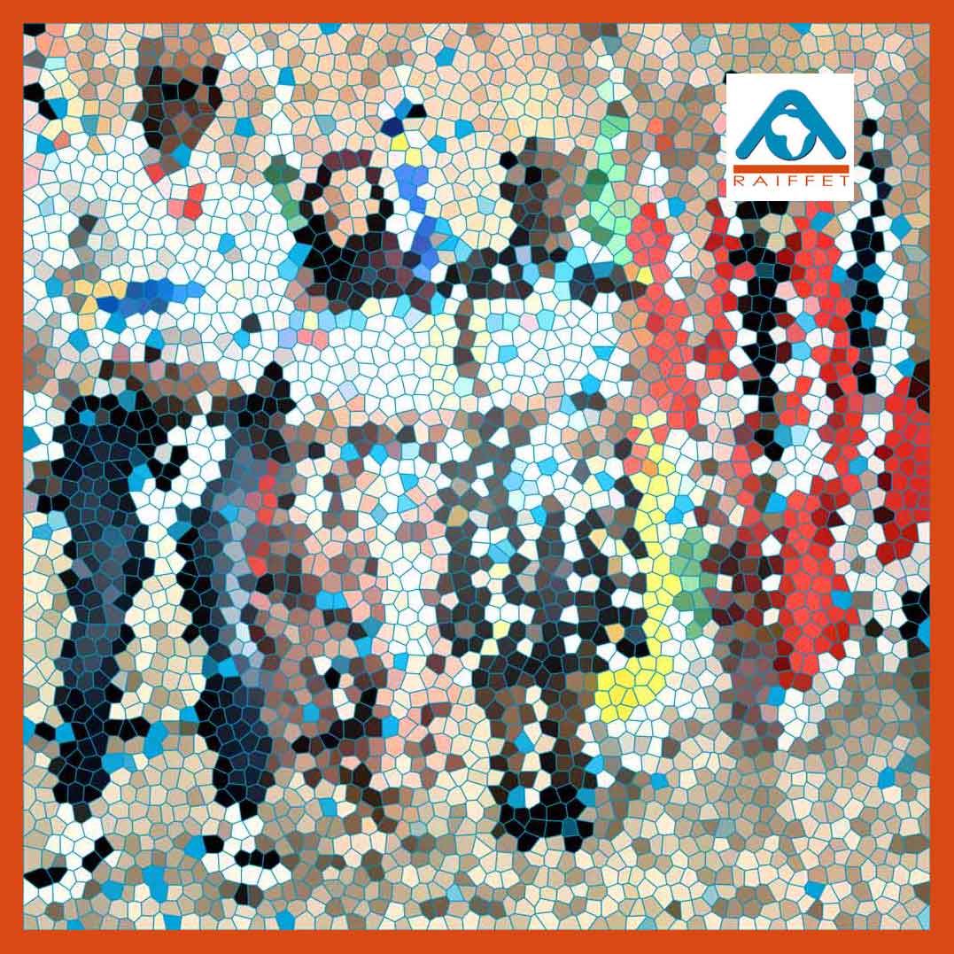 Belle année 2026 aux membres du RAIFFET ! Donnons nous rendez vous en 2028 à Yaoundé au CAMEROUN