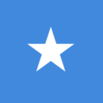 Logo du groupe SOMALIE